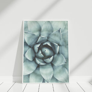 Boho Sage Green Succulent Closeup Poster