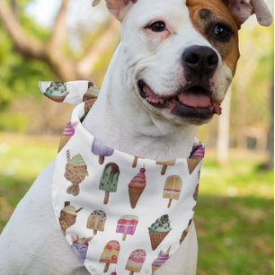 Fun Dessert Ice Cream Bandana