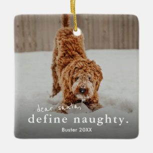 Funny Naughty Pet 2 Photo Christmas Ceramic Ornament