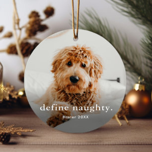 Funny Pet 2 Photo Christmas Metal Ornament