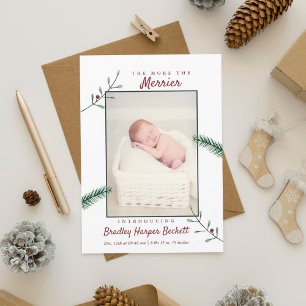 Holly Branches New Baby Photo Christmas Birth Holiday Card