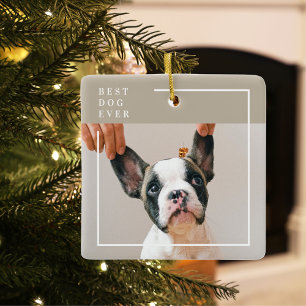 Modern Dog Photo   Best Dog Ever Beige Ceramic Ornament