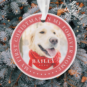 My First Christmas Forever Home Modern Pet Photo Ornament